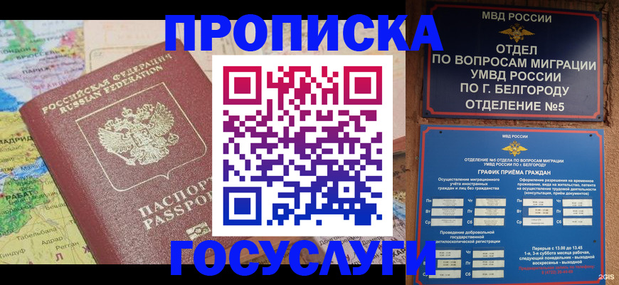 прописка регистрация в Новгородской области